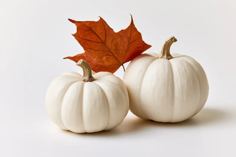 Two white mini pumpkins with an orange maple leaf arranged on a white surface