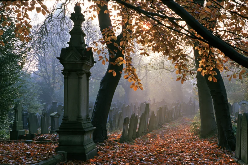 Autumnal cemetery pathway lined with tombstones and trees under misty sunlight