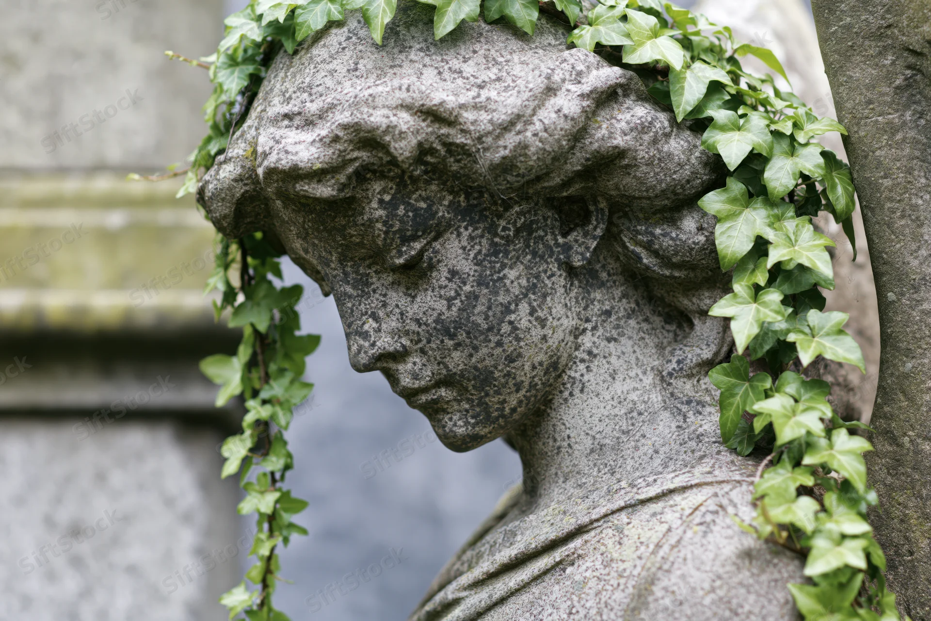 Weathered stone angel statue with downcast head and ivy vines in a cemetery