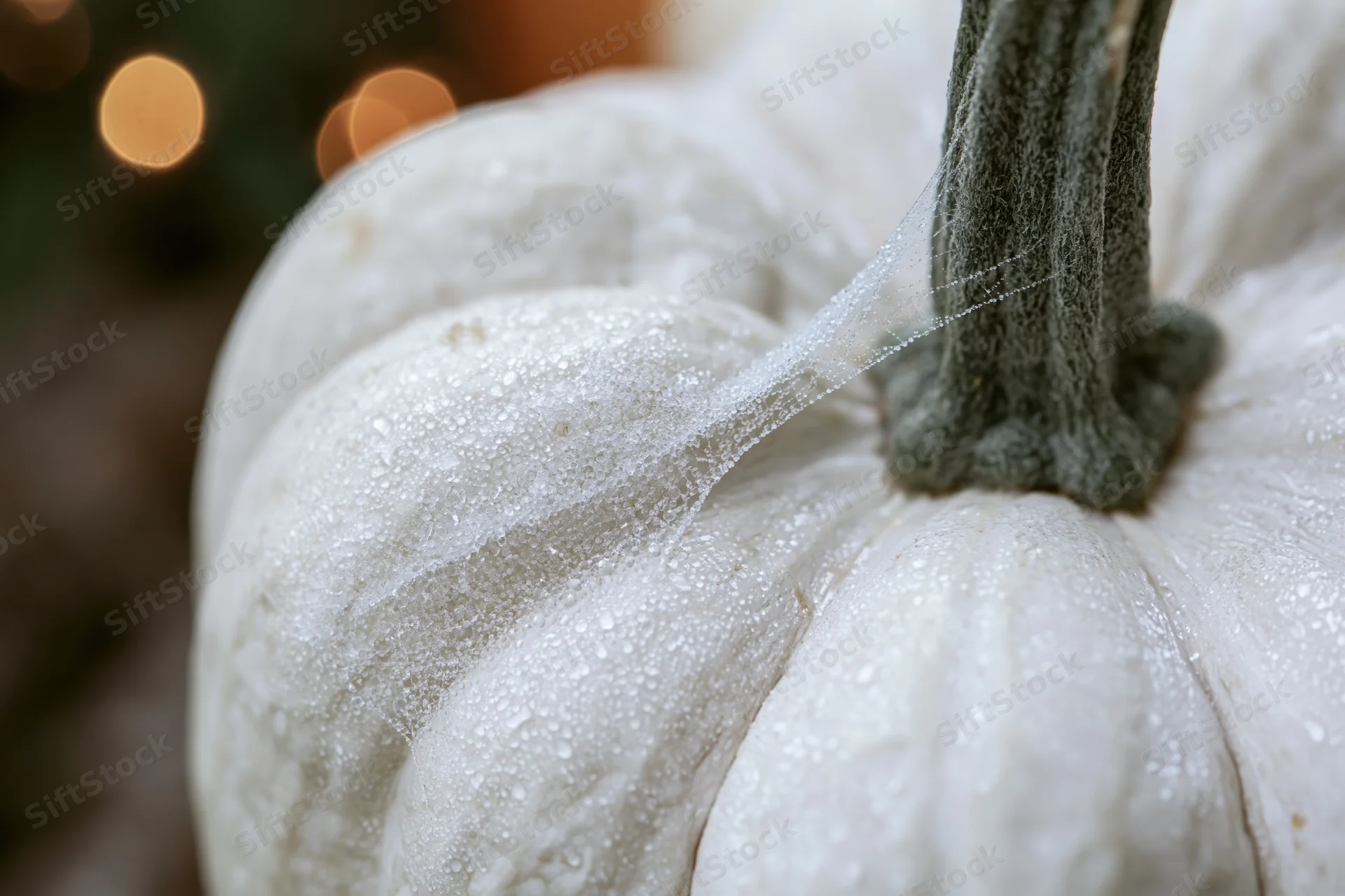 Closeup of a white pumpkin with dew droplets on its surface and stem, set against blurred warm lights in the background