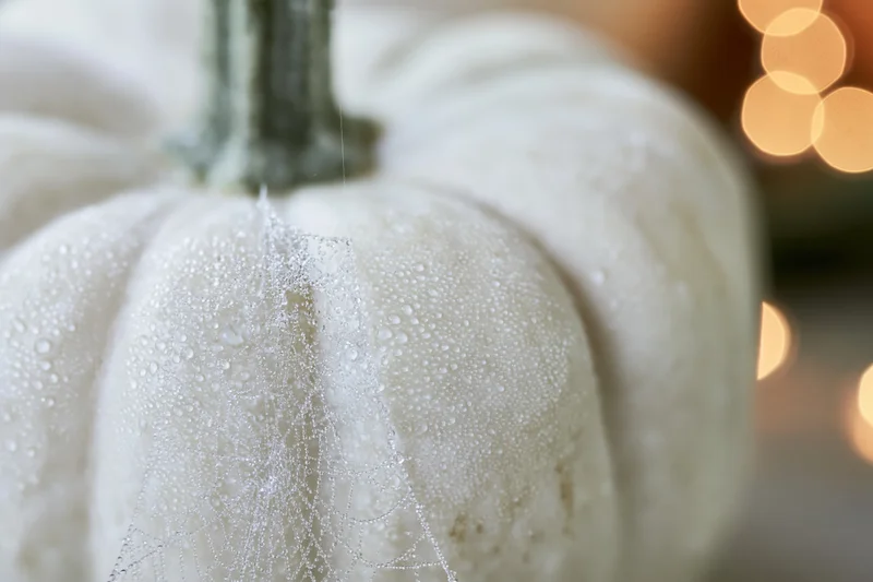 White pumpkin with dew droplets and spiderweb decoration, warm bokeh lights in background