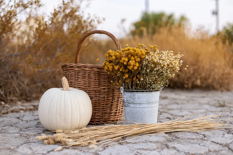 White pumpkin beside wicker basket and tin bucket with dried flowers on cracked ground