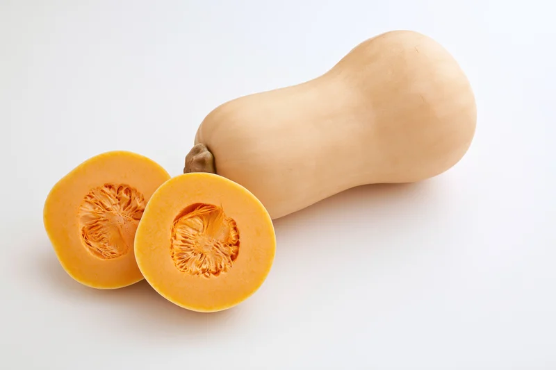 Whole butternut squash with two cross-section slices on white background