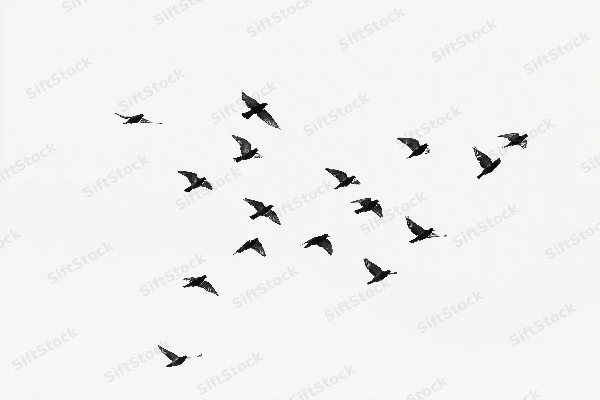 Flock of birds in mid-flight against a white sky