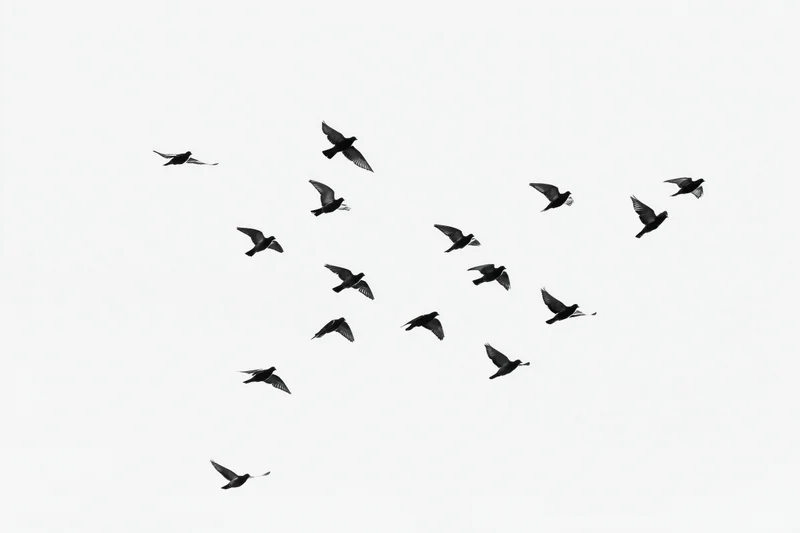 Flock of birds in mid-flight against a white sky