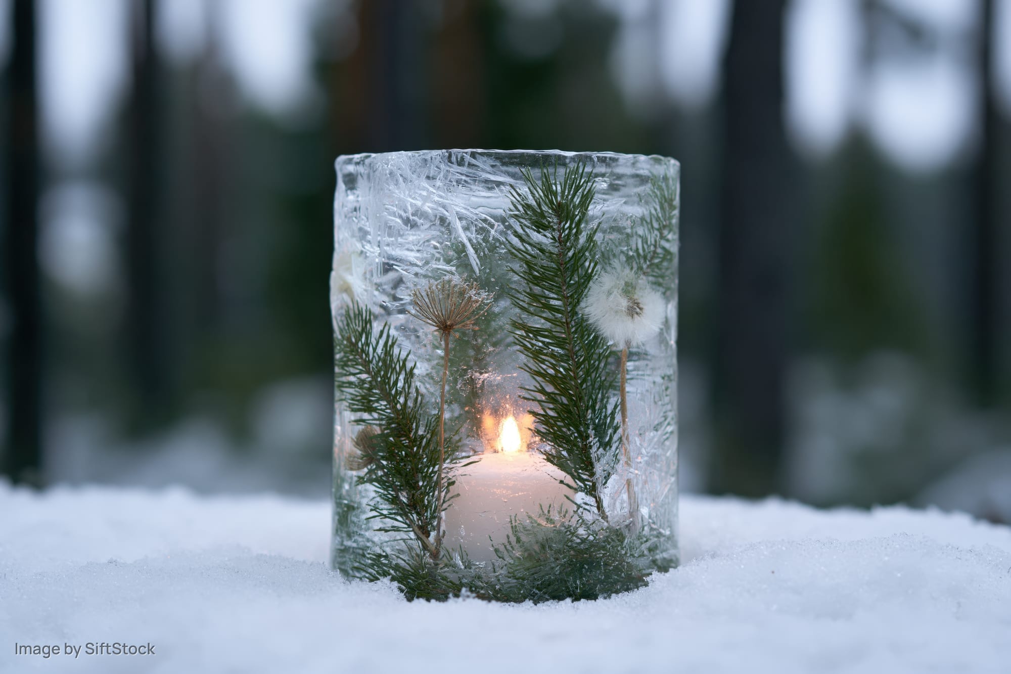 Ice lantern with candle and evergreen sprigs embedded in frozen cylinder on snow in forest
