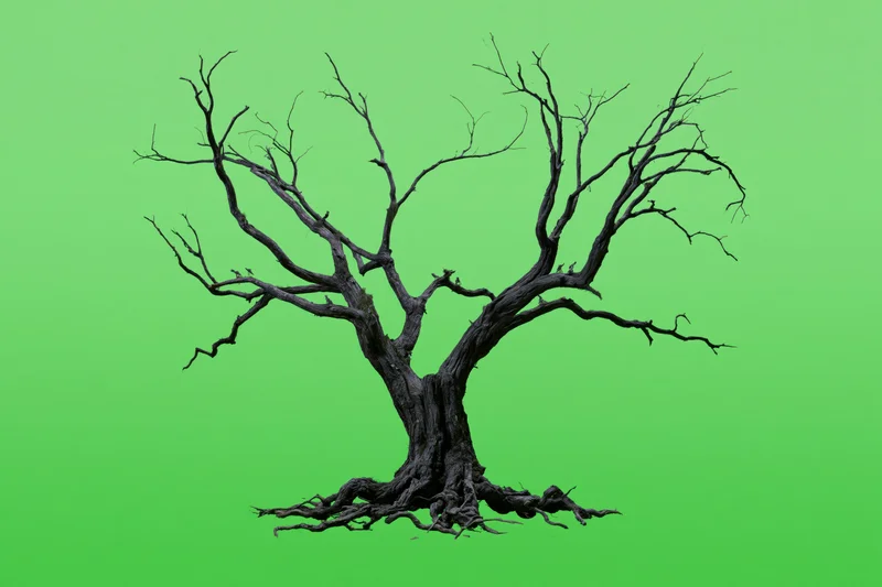 Dead tree with wide spreading branches and exposed roots against green background