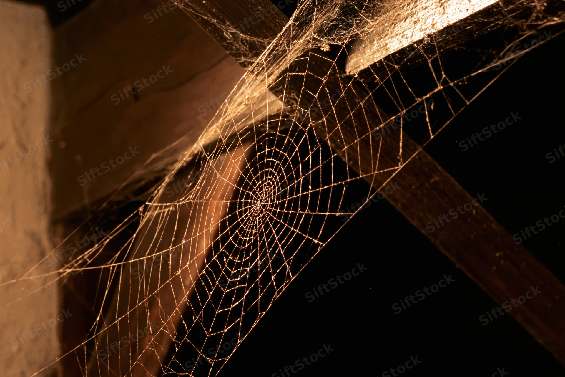 Intricate spiderweb glowing in warm light between dark wooden beams in a dim interior