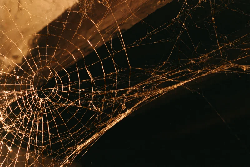 Intricate spiderweb glowing in warm light against dark wooden beams at night