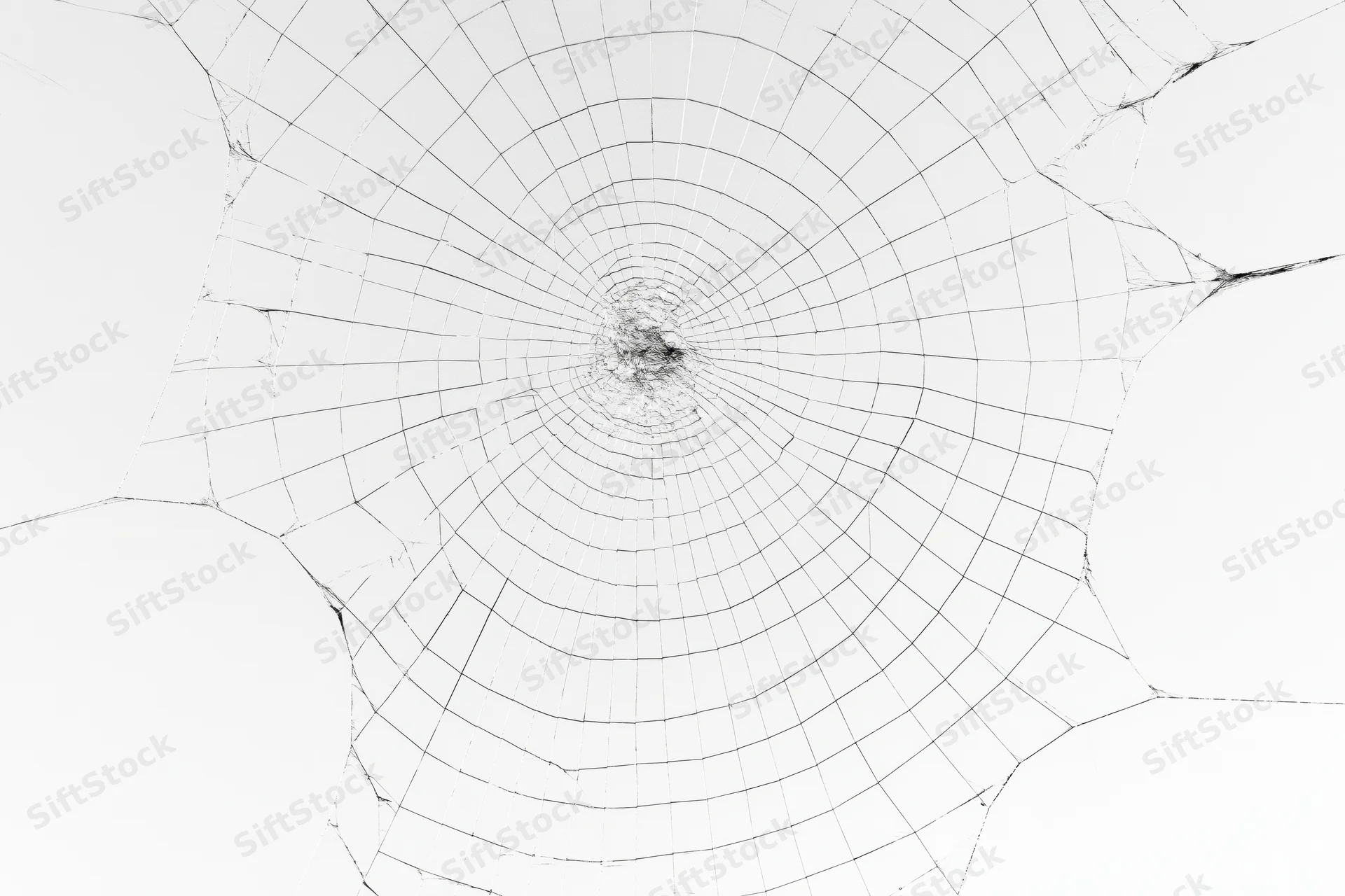 Closeup of an orb-weaver spider web with radial threads and concentric circles against a white background