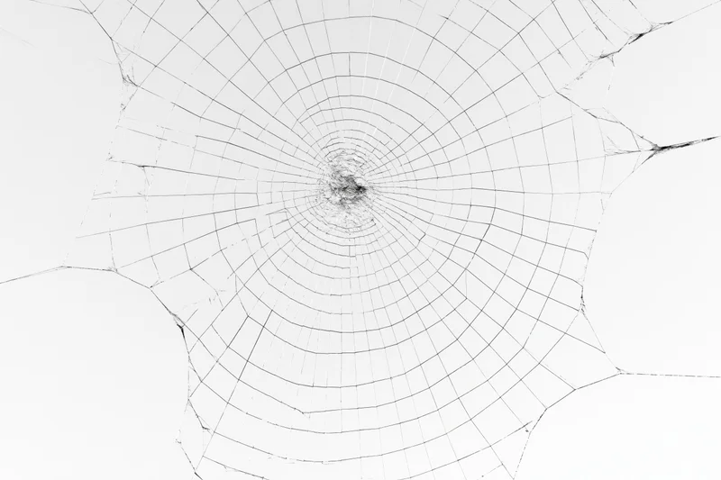 Closeup of an orb-weaver spider web with radial threads and concentric circles against a white background