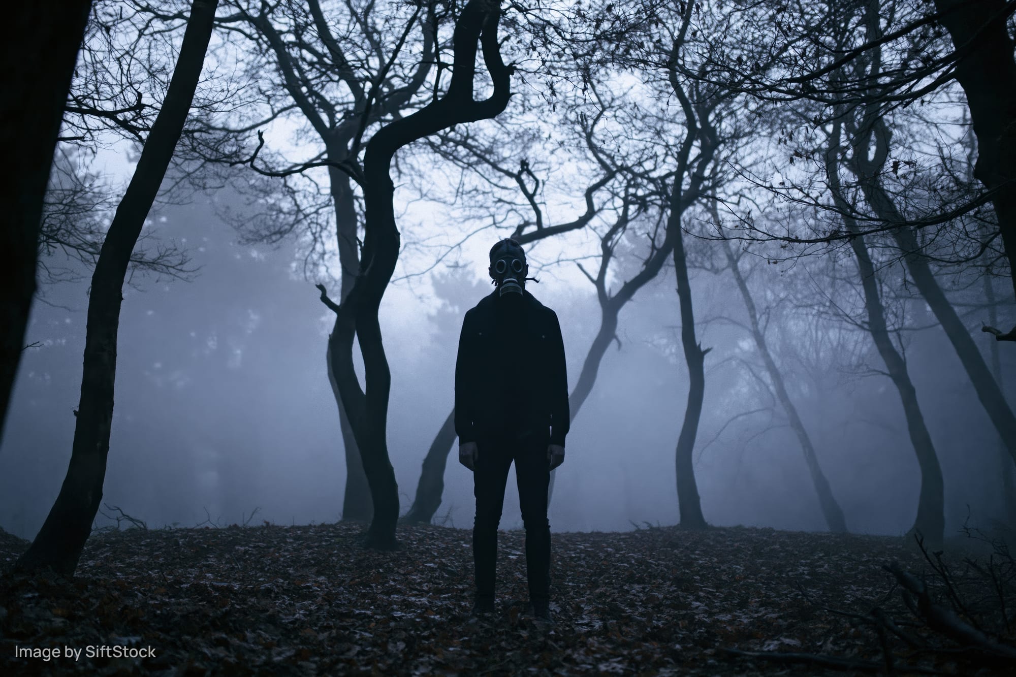 Masked figure standing motionless in foggy forest at twilight