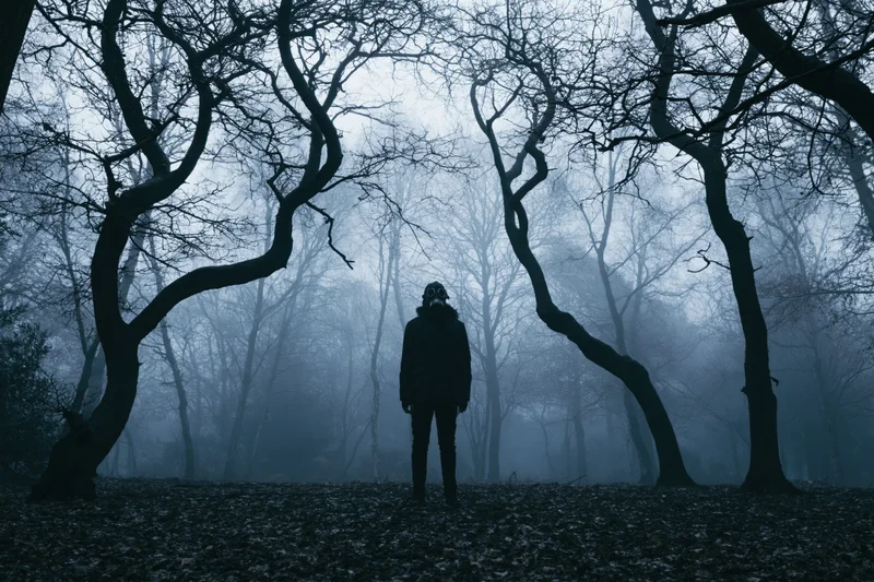 Masked figure standing motionless in a foggy forest at twilight