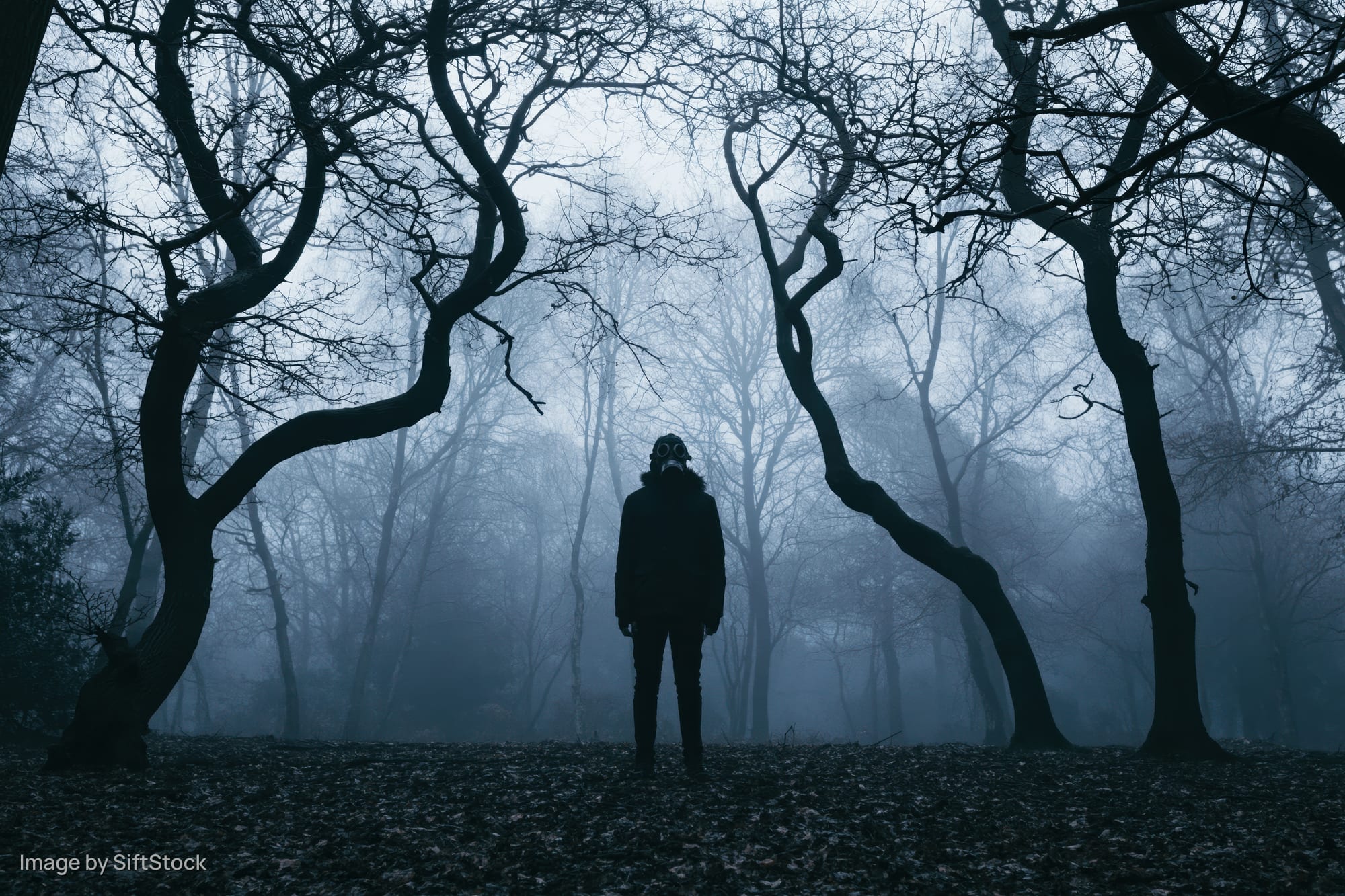 Masked figure standing motionless in a foggy forest at twilight