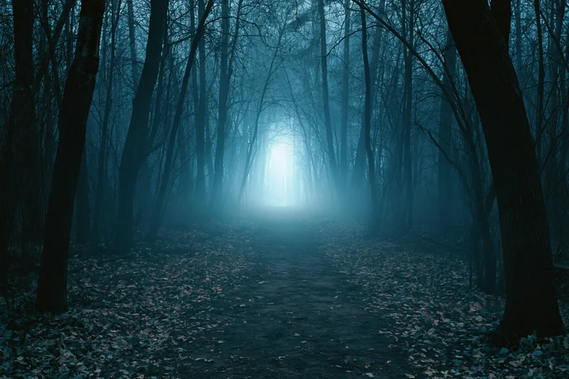 Narrow dirt path through dense deciduous forest at night with fog and blue light in distance