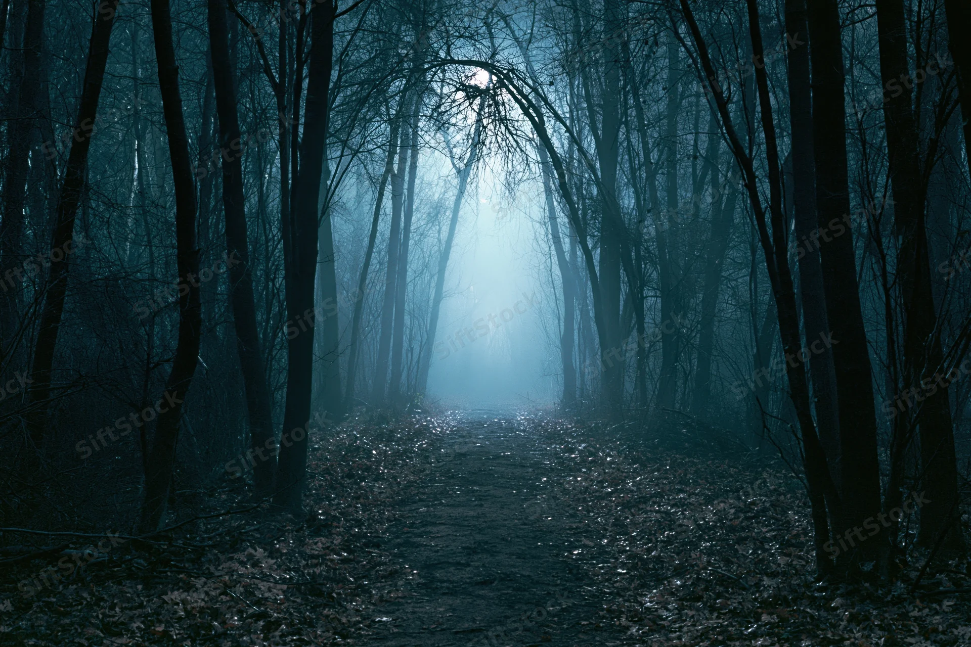 Narrow dirt path through dense deciduous forest at night with mist and moonlight filtering through bare trees