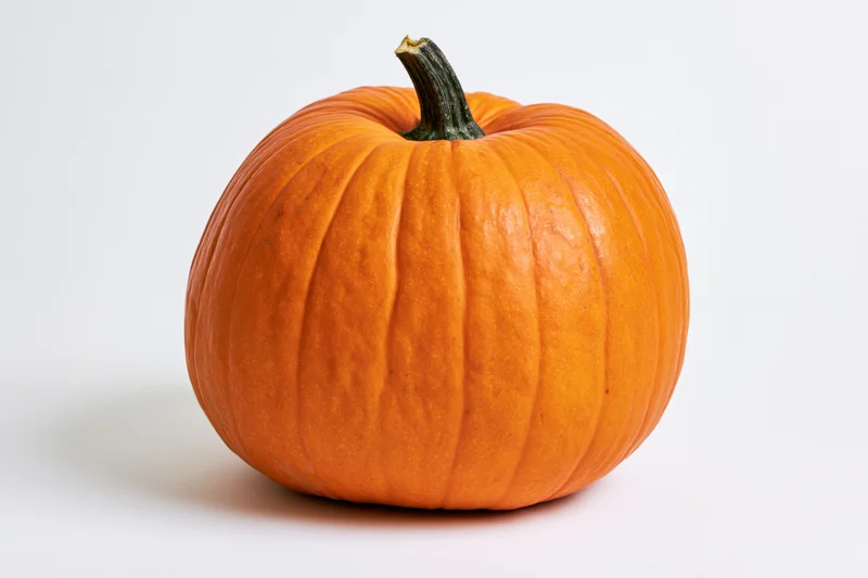 Ripe orange pumpkin with short dark green stem on white background