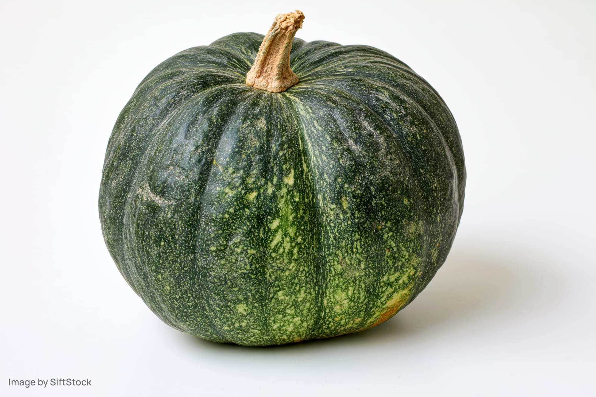Kabocha squash resting on a white surface with soft shadow and visible stem