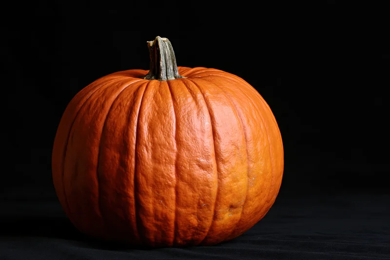 Whole pumpkin centered on black background with visible stem and ribbed texture