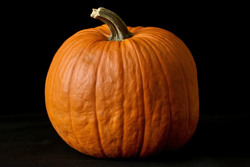 Whole pumpkin centered on black background with visible stem and ribbed texture