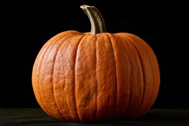 Whole pumpkin centered on dark surface against black background