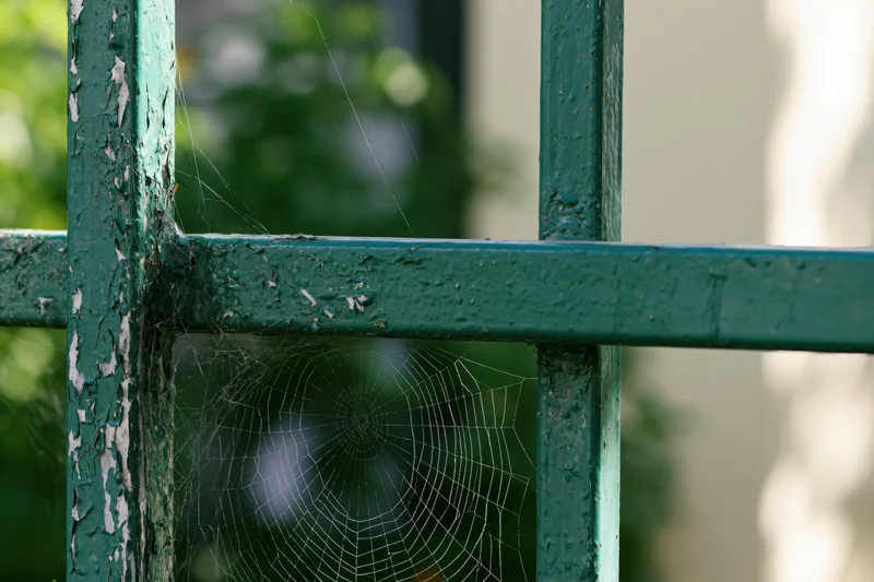 Spiderweb stretched between weathered green metal fence bars in a garden setting
