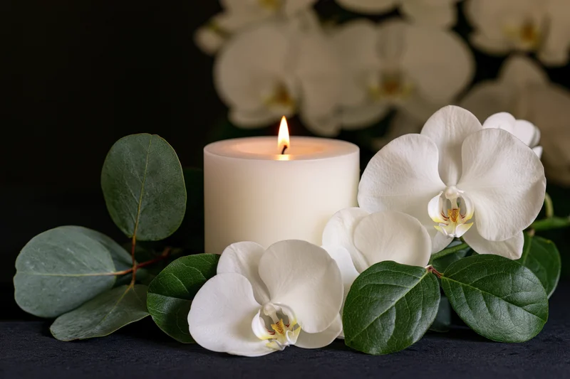 Lit white candle with white orchids and green leaves arranged on dark surface