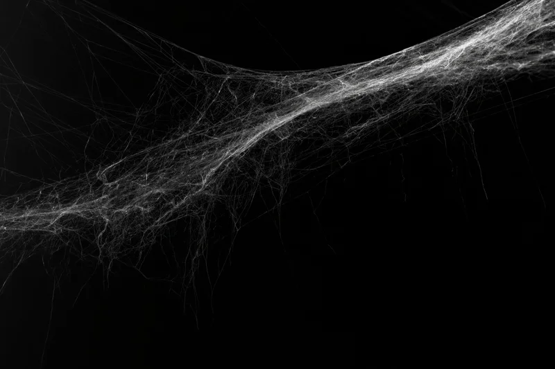 Abandoned spiderweb stretching across a dark corner with intricate threads and high contrast against black background