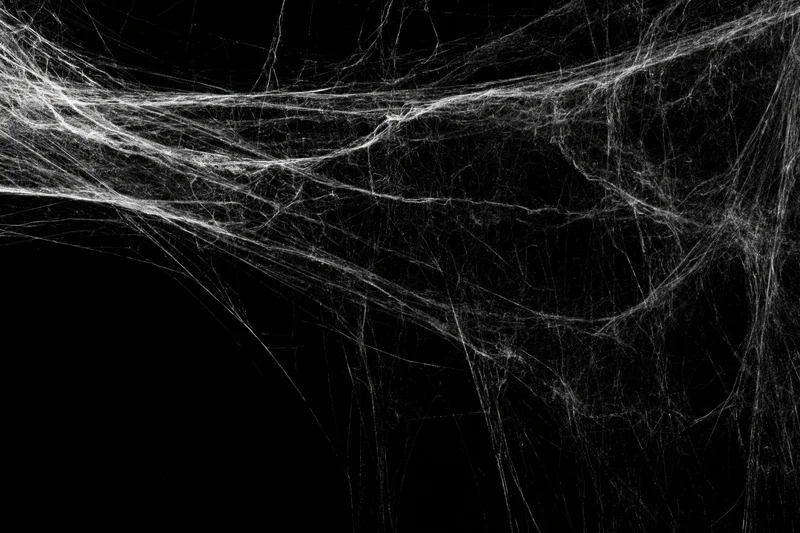 Abandoned spiderweb stretching across a dark corner with layered filaments