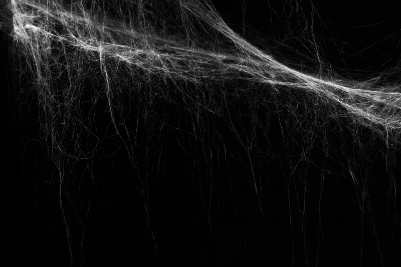 Abandoned spiderweb stretching across a dark corner with layered filaments