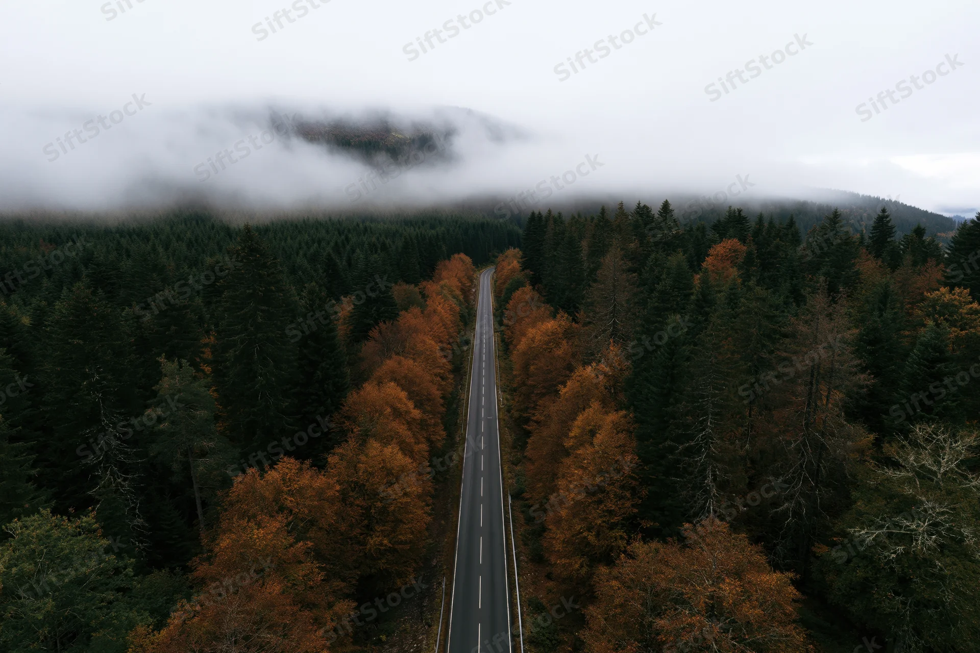 Aerial view of a straight two-lane road through autumn forest with fog-covered mountains in the distance