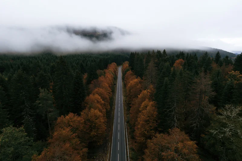 Aerial view of a straight two-lane road through autumn forest with fog-covered mountains in the distance