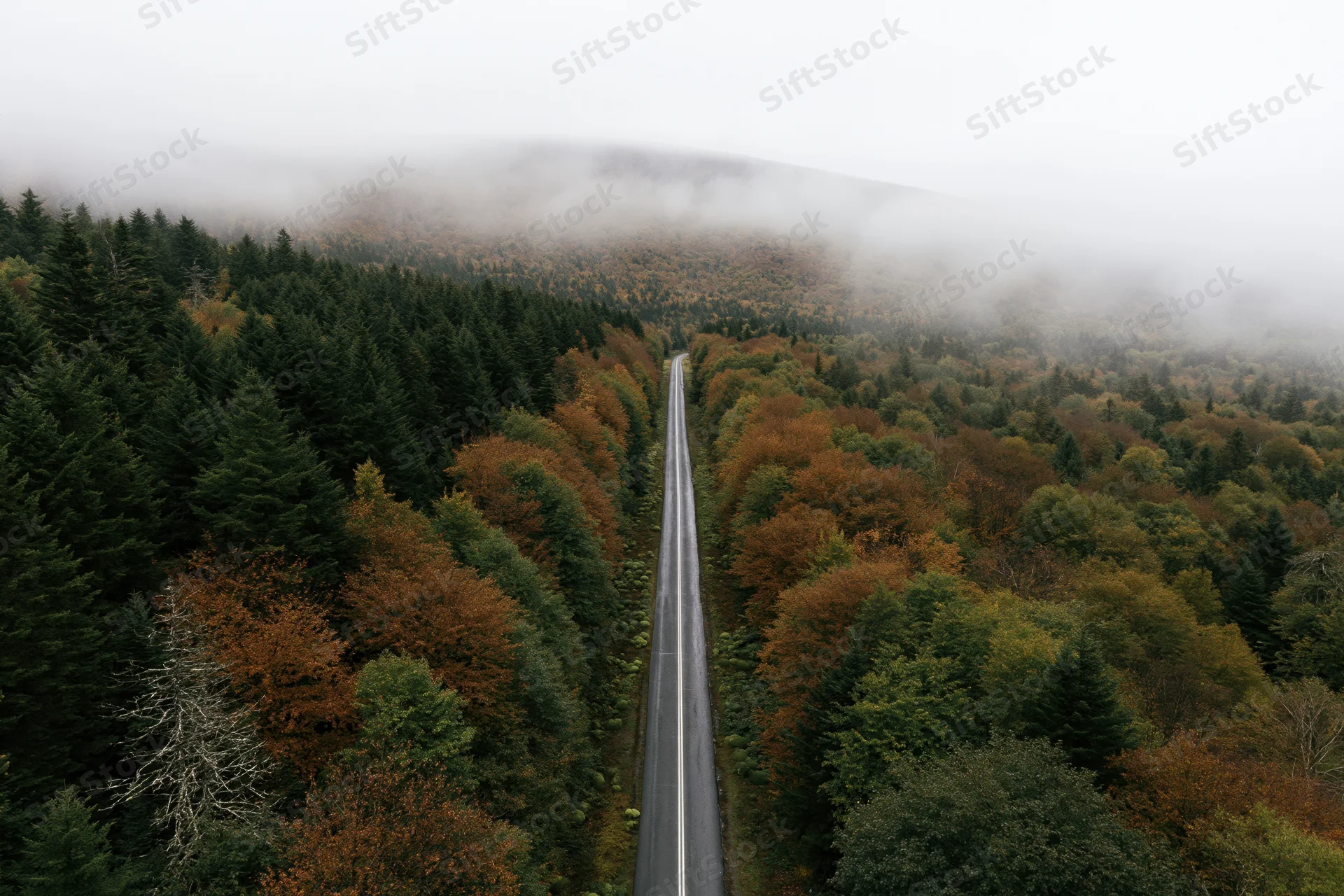 Aerial view of a narrow two-lane road cutting through a dense autumn forest with mist-covered mountains in the distance