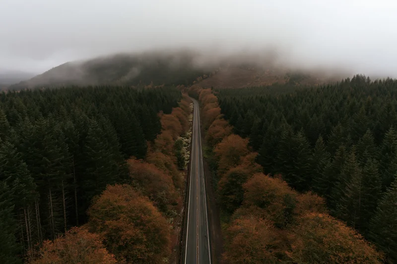 Aerial drone view of a narrow two-lane road cutting through a dense forest in autumn with fog-covered mountains in the distance
