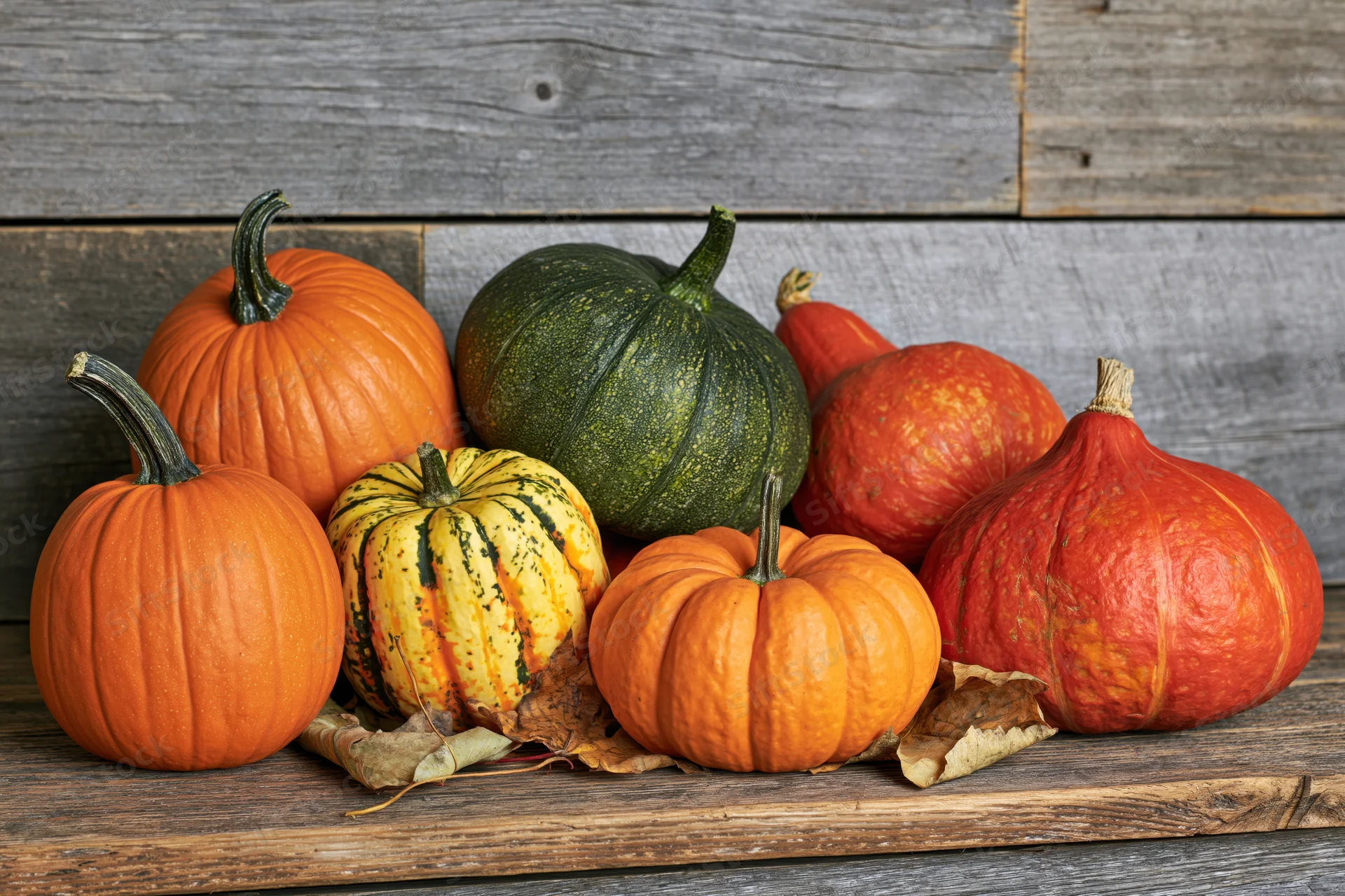 Assorted pumpkins and gourds arranged casually on a wooden table against a rustic plank wall