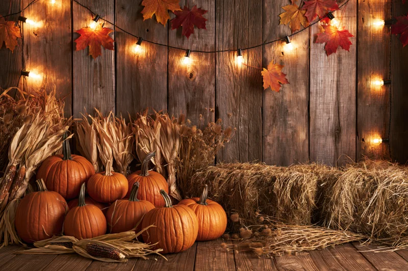 Autumn harvest display with pumpkins, hay bales, cornstalks and string lights against a weathered wooden wall