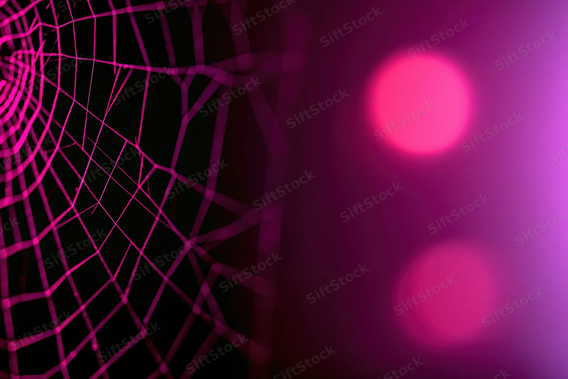 Closeup of a glowing pink spiderweb against a dark background with bokeh lights