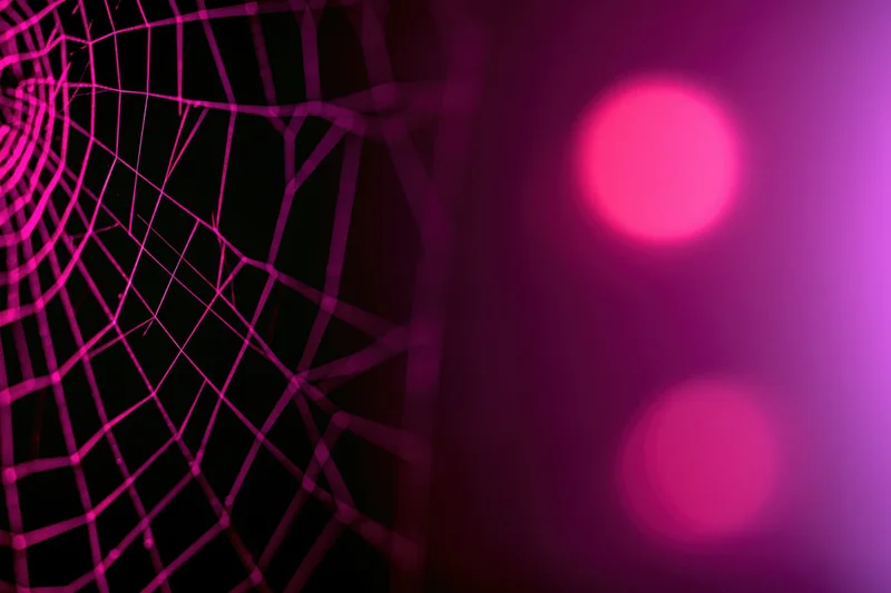 Closeup of a glowing pink spiderweb against a dark background with bokeh lights