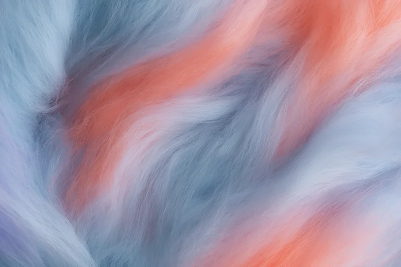 Close-up of cotton candy fibers swirling in pastel colors filling the frame