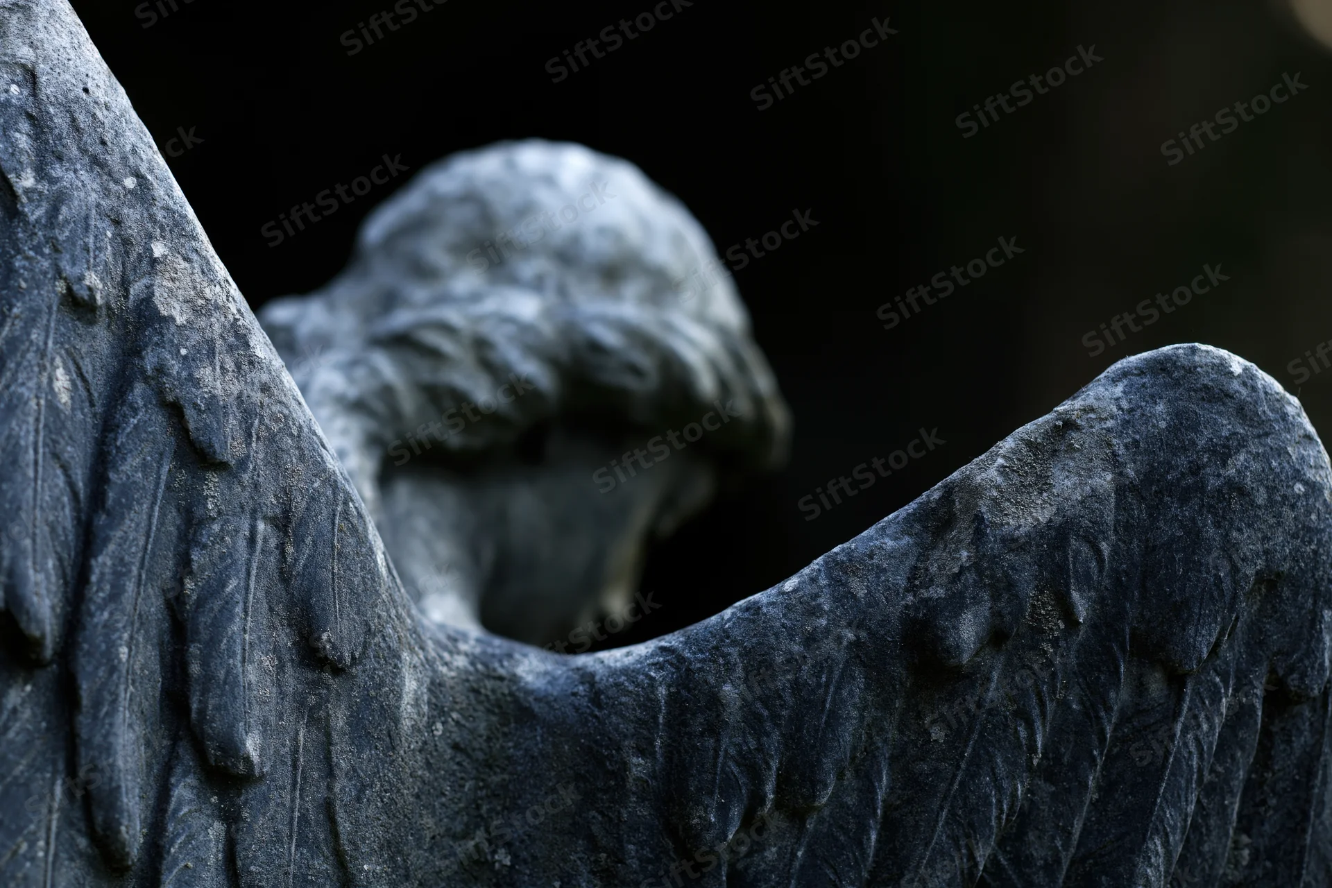 Close-up of a weathered stone angel statue with carved wings and bowed head in a cemetery