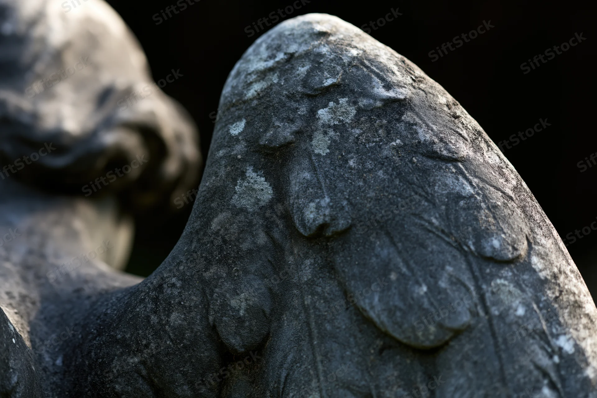 Close-up of weathered stone angel statue wing in cemetery