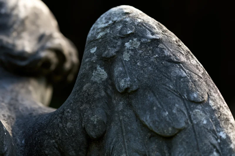 Close-up of weathered stone angel statue wing in cemetery