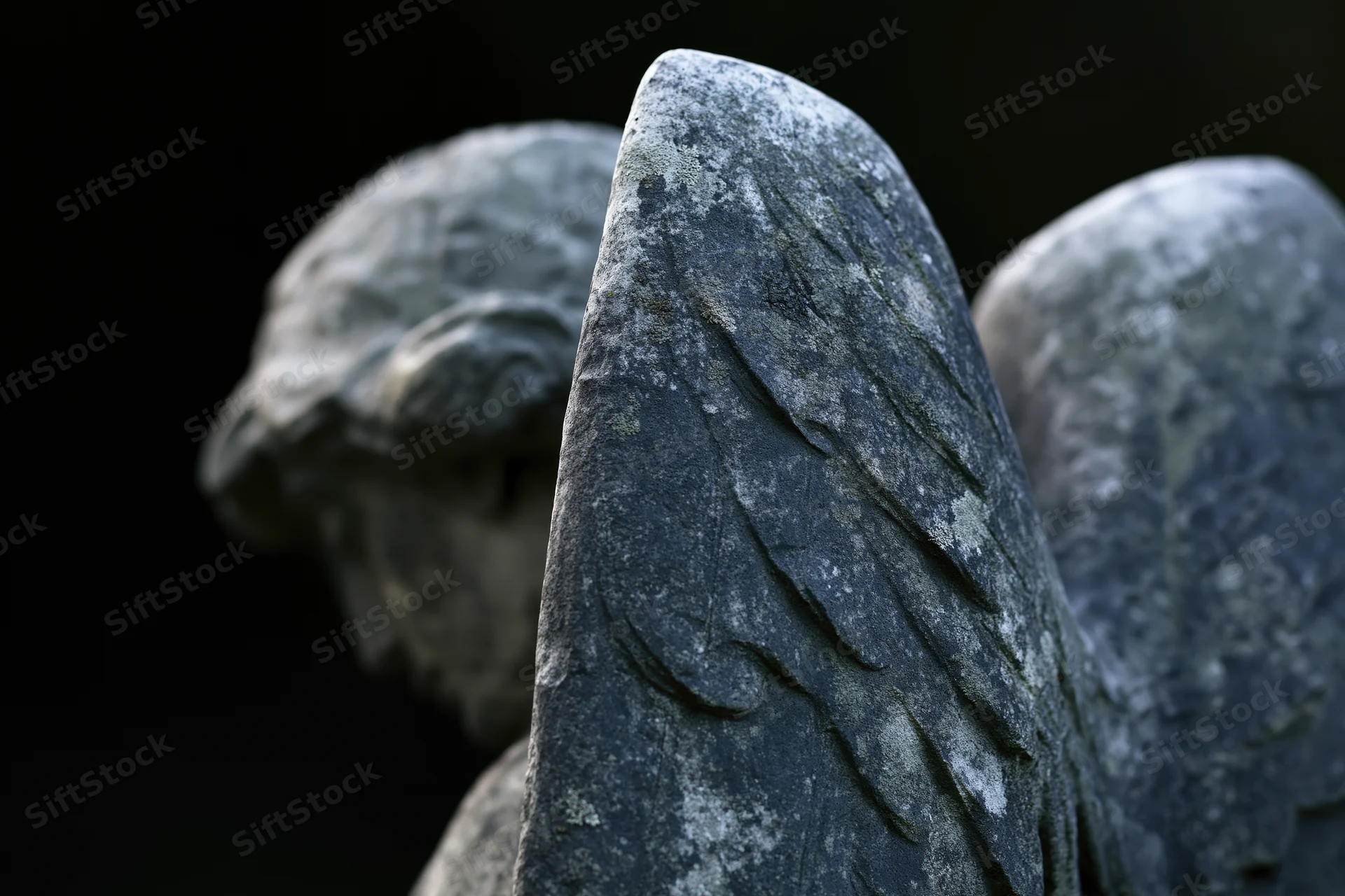 Close-up of weathered stone angel statue with carved wing and head in cemetery setting