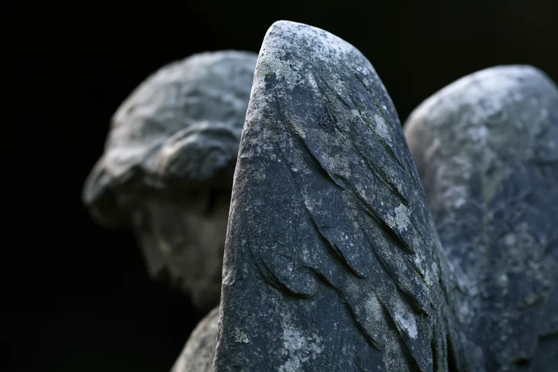 Close-up of weathered stone angel statue with carved wing and head in cemetery setting