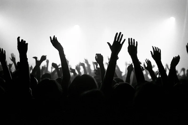 Silhouetted crowd with raised hands at a concert under bright stage backlighting