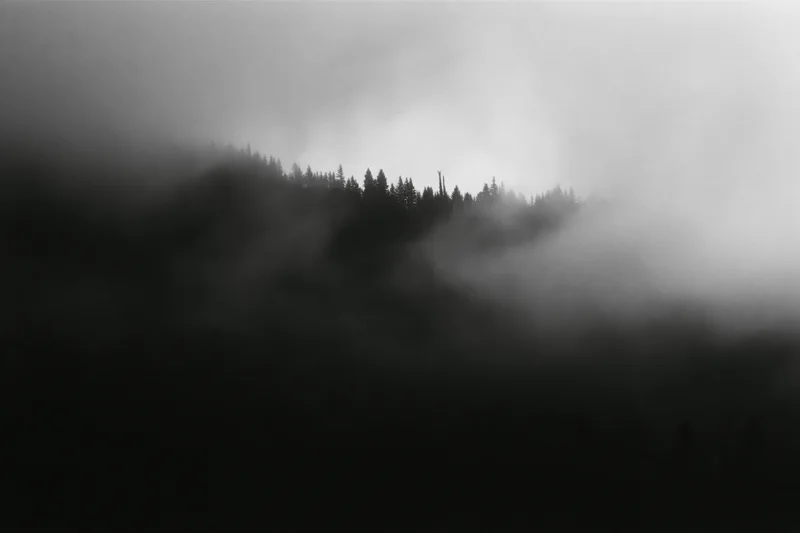 Dark forested mountain ridge silhouetted against swirling low fog