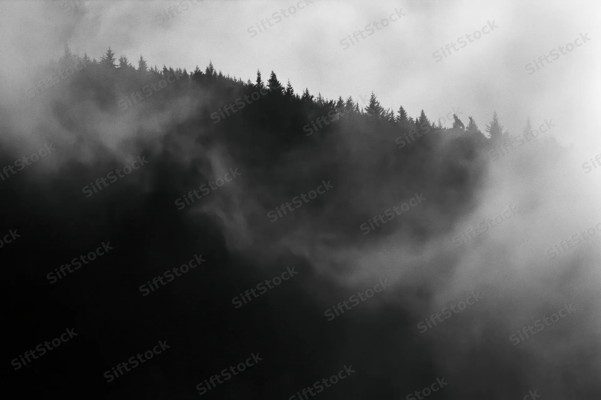 Dark forested mountain ridge silhouetted against swirling low fog