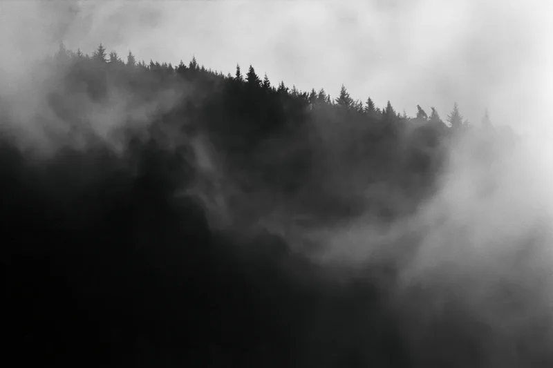 Dark forested mountain ridge silhouetted against swirling low fog