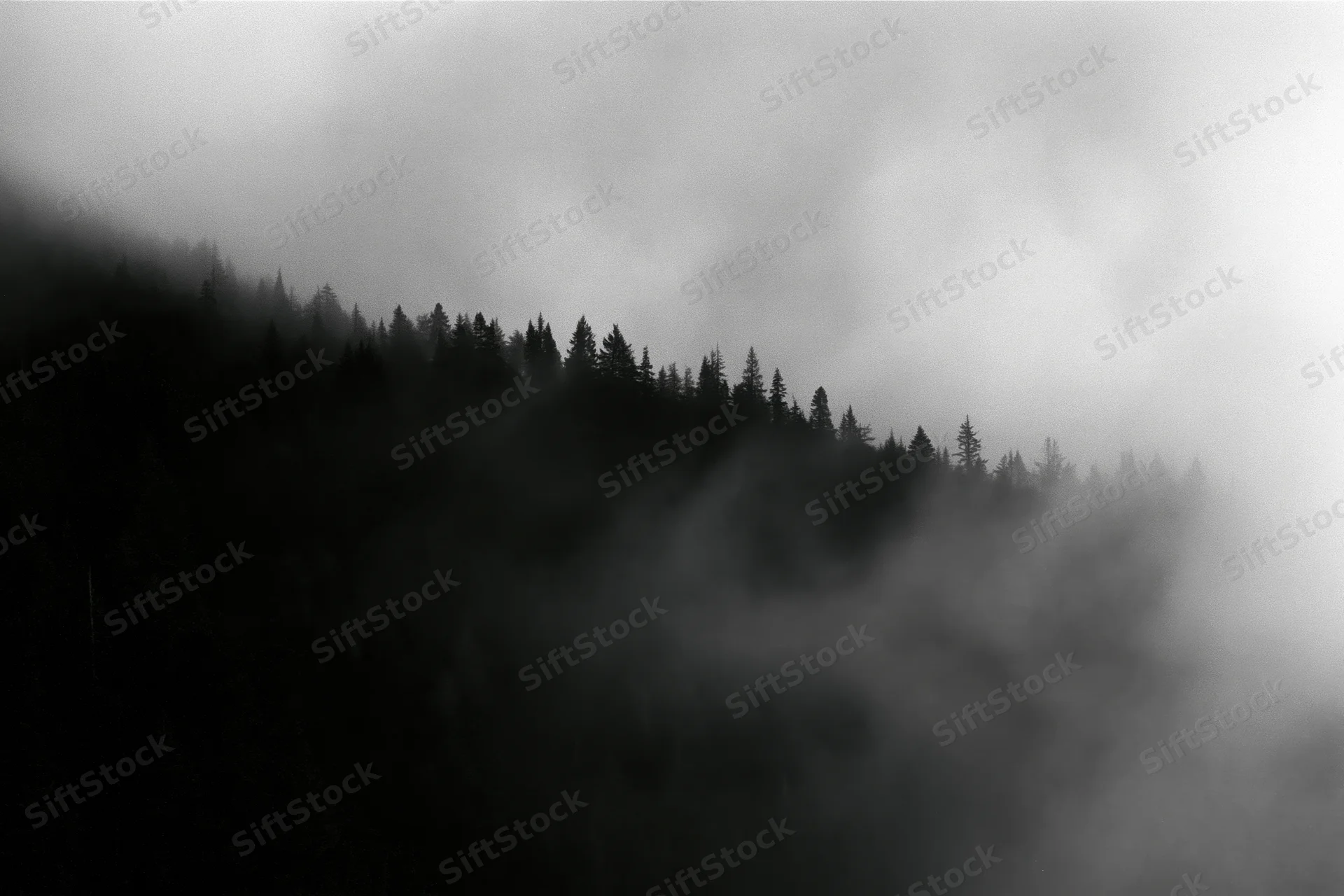 Dark forested mountain ridge silhouetted against swirling low fog