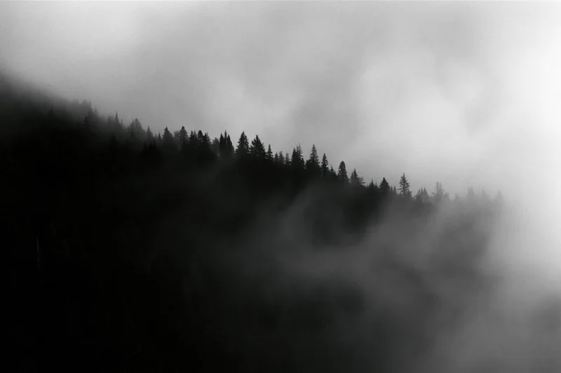 Dark forested mountain ridge silhouetted against swirling low fog
